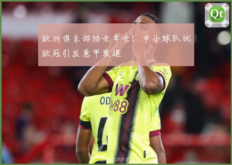 欧洲俱乐部协会年会:中小球队忧欧冠引发意甲衰退