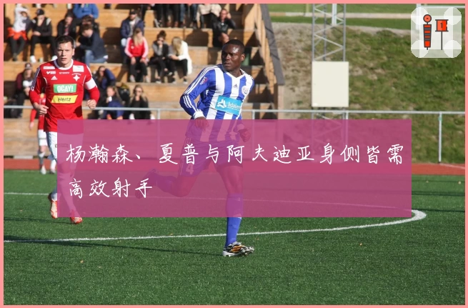 杨瀚森、夏普与阿夫迪亚身侧皆需高效射手