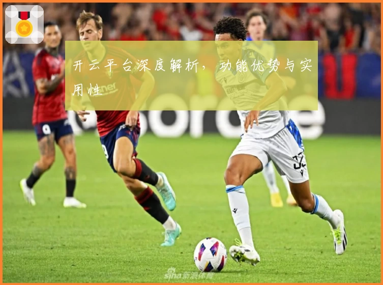 开云平台深度解析，功能优势与实用性