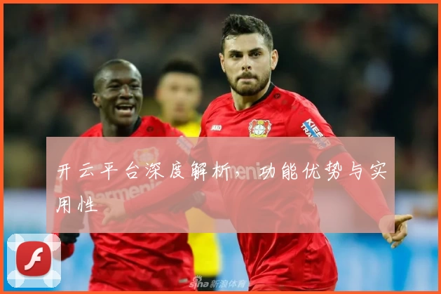 开云平台深度解析，功能优势与实用性