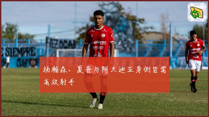 杨瀚森、夏普与阿夫迪亚身侧皆需高效射手